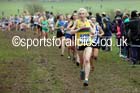 Senior womens Inter Counties Cross Country, Prestwold Hall, Loughborough. Photo: David T. Hewitson/Sports for All Pics